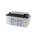 Leoch 45AH UPS Battery